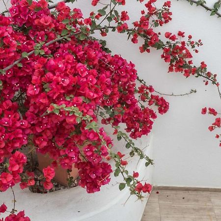 Depis Apartments & Suites Naxos City Dış mekan fotoğraf